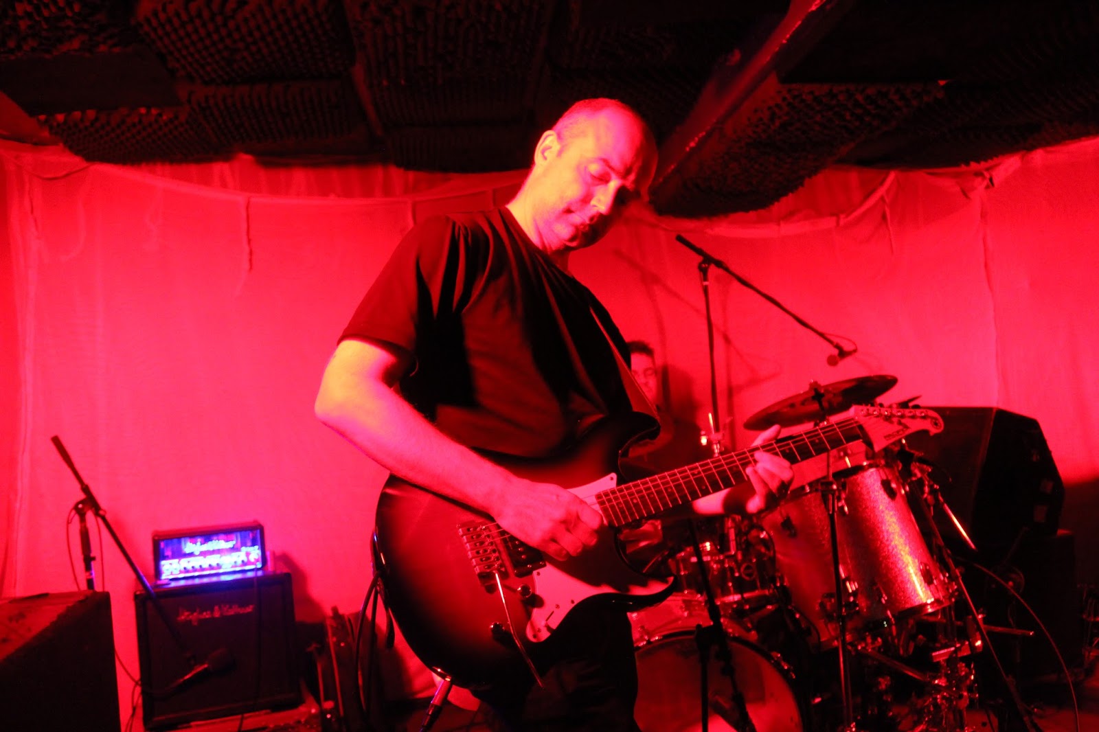 porcupine tree