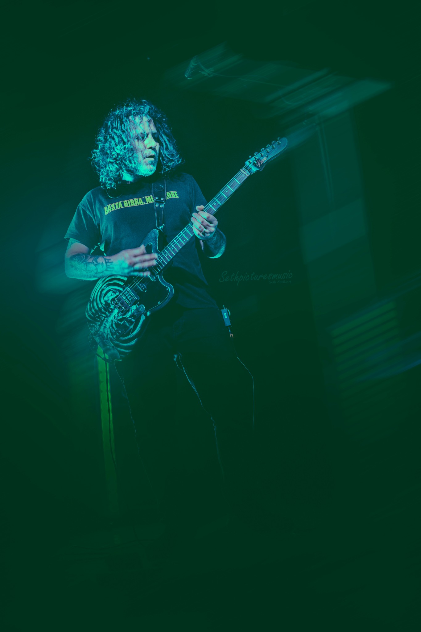 porcupine tree