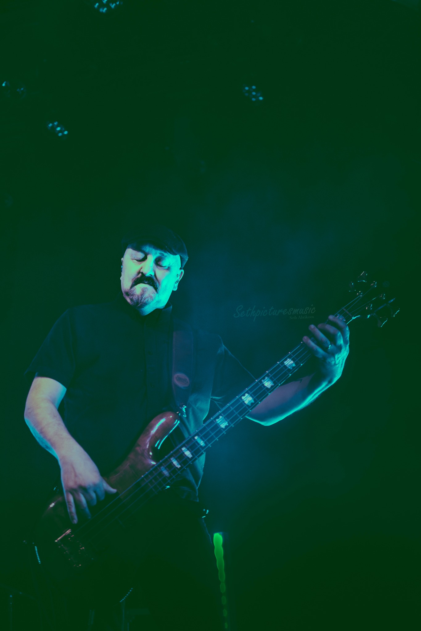 porcupine tree