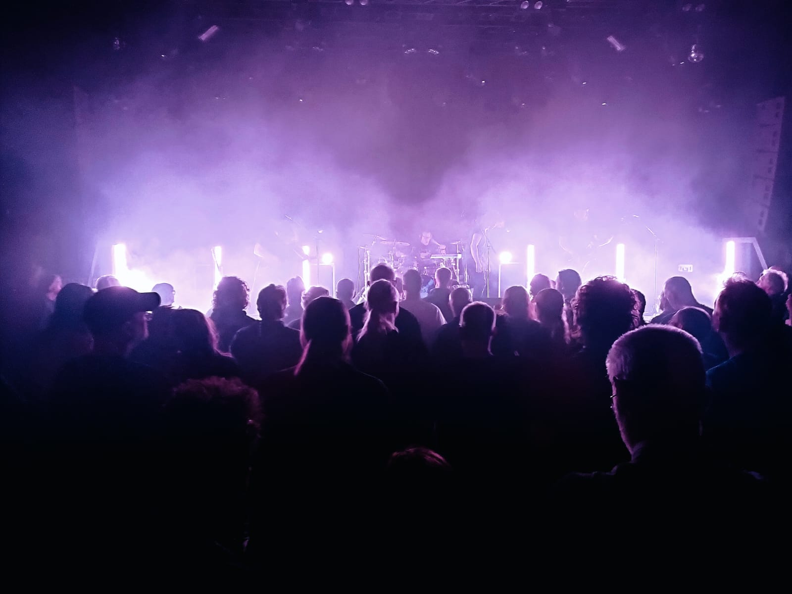 porcupine tree