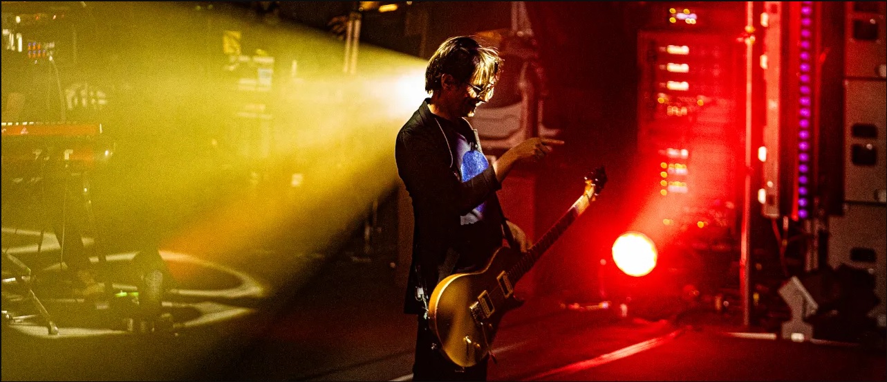 porcupine tree