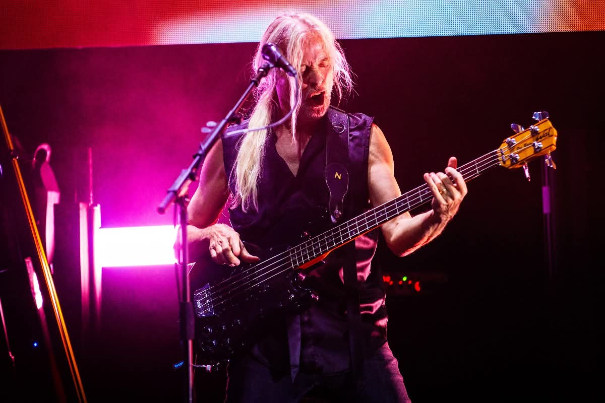 porcupine tree