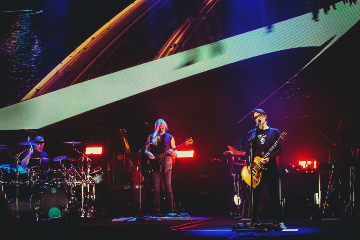 porcupine tree