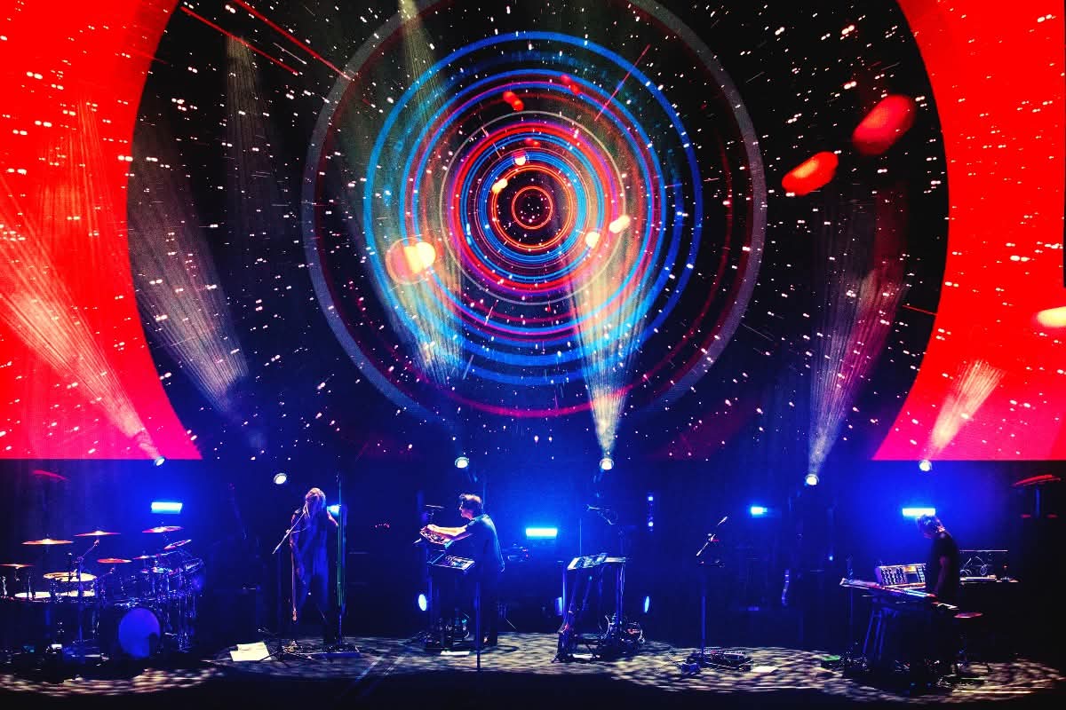 porcupine tree