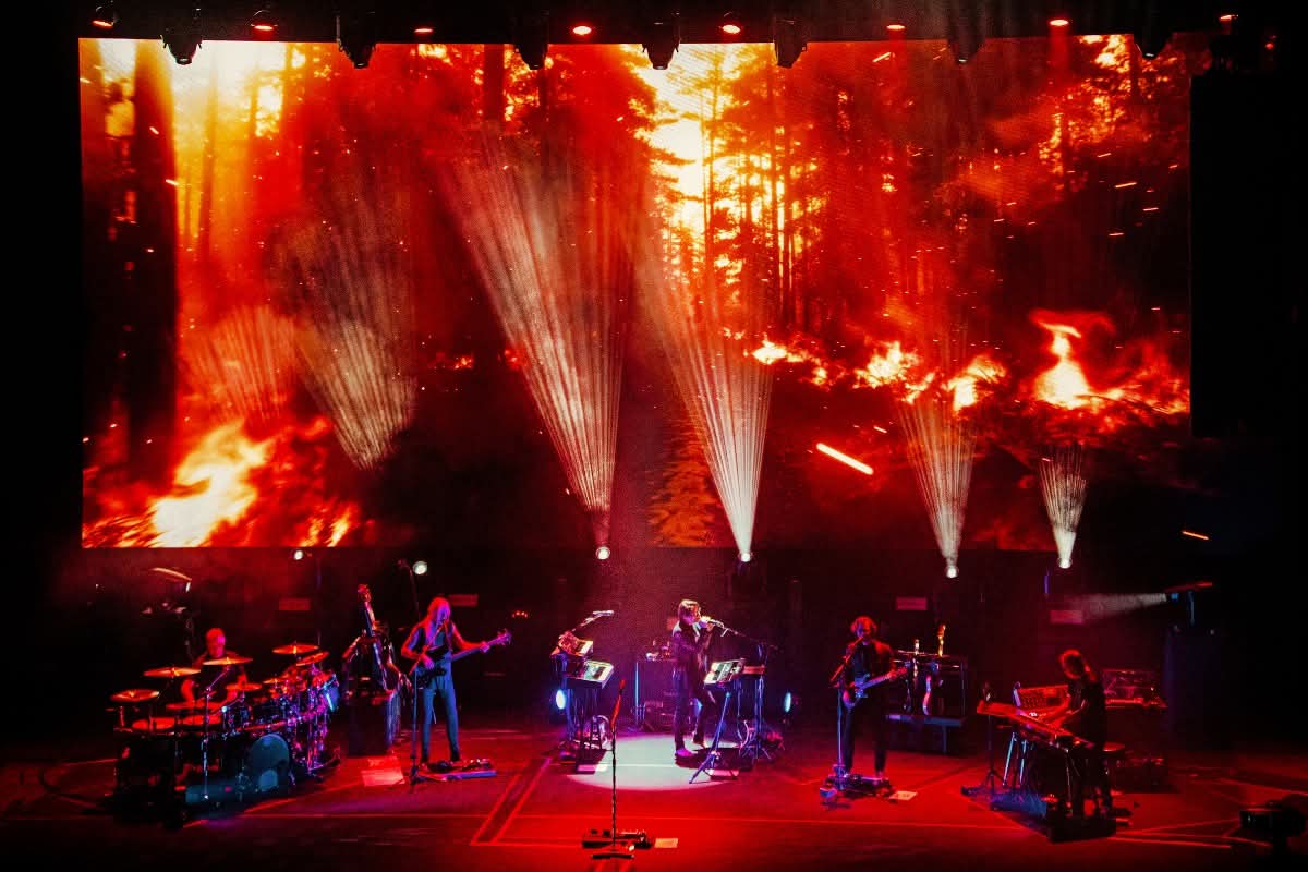 porcupine tree