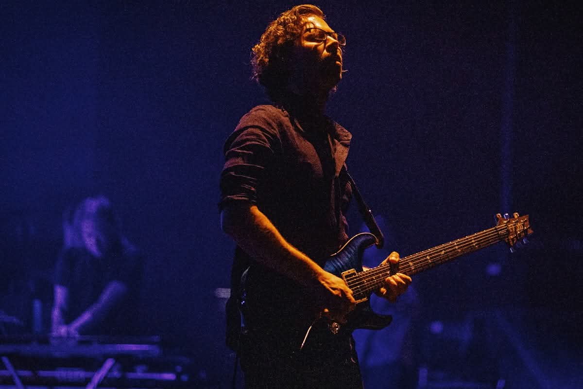 porcupine tree