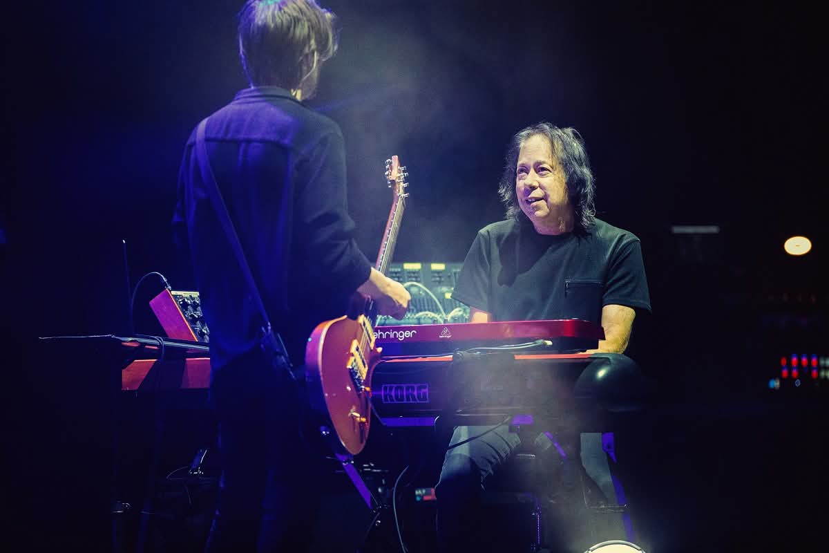 porcupine tree