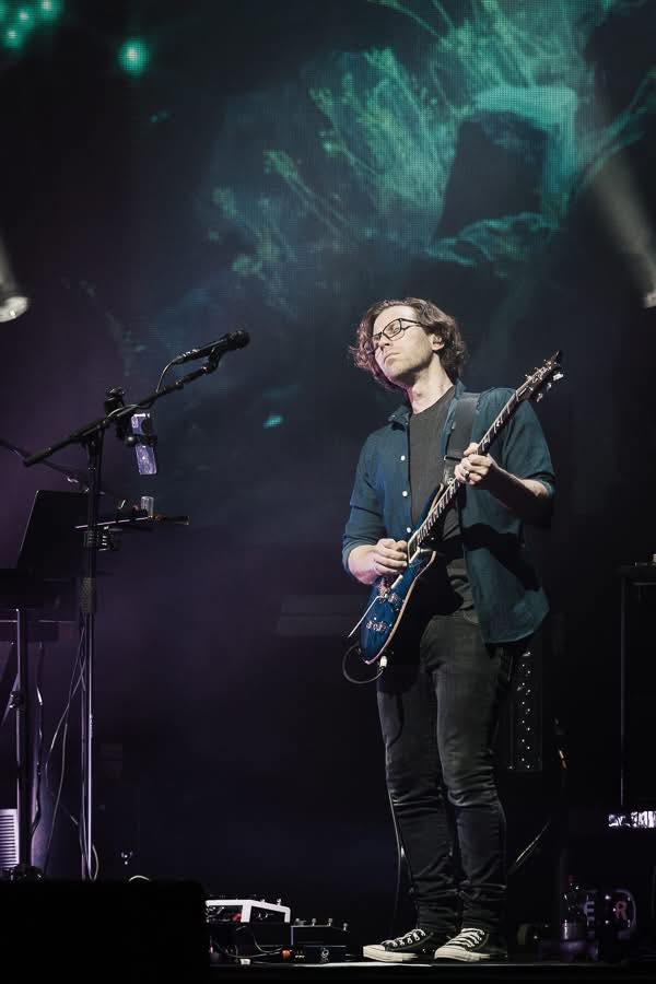 porcupine tree