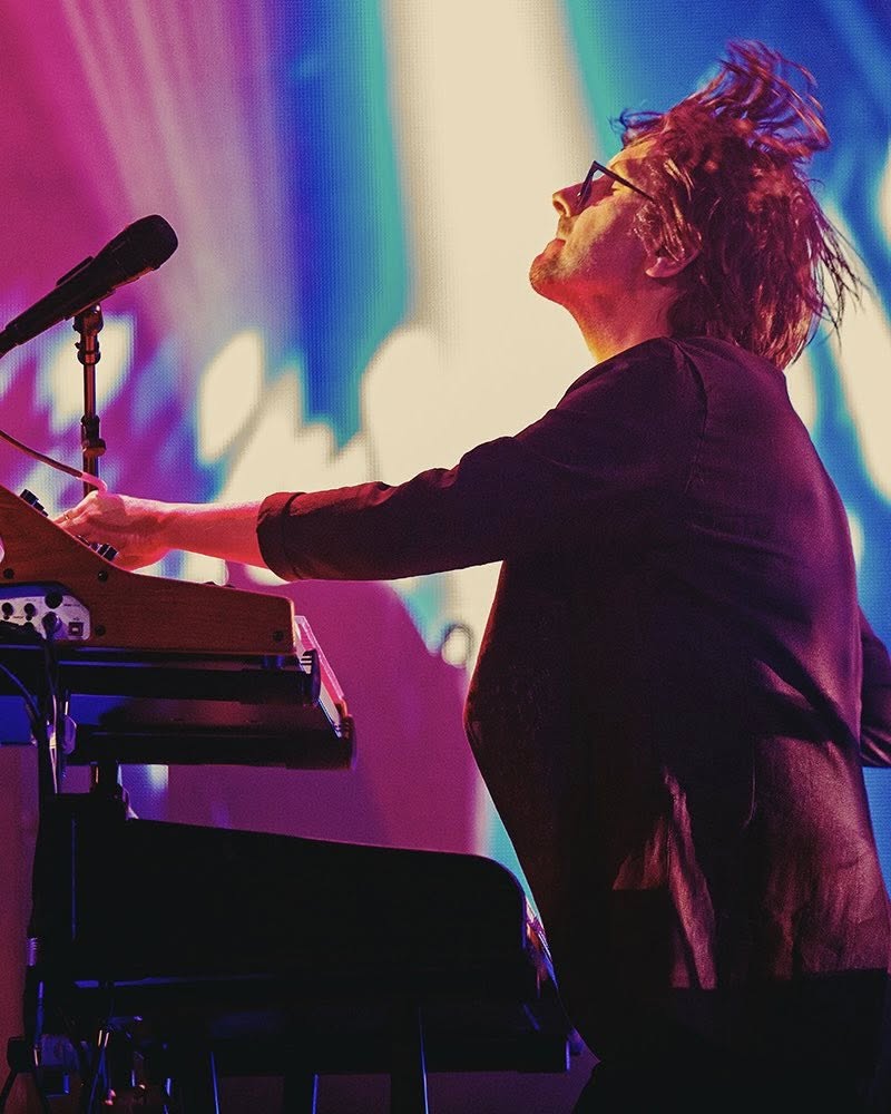 porcupine tree